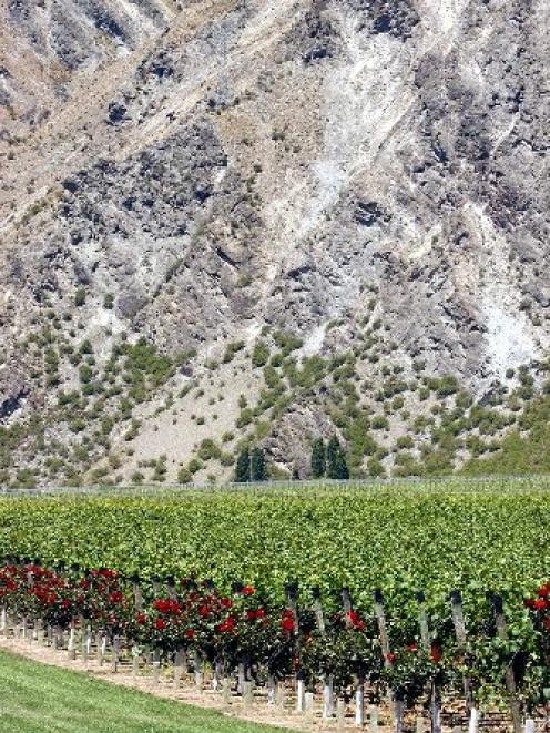 The Central Otago wine industry is through the worst of the industry correction, some observers...