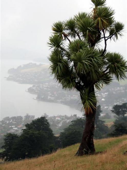 The Dunedin City Council  is on the hunt for the perfect camping ground on  Otago Peninsula....