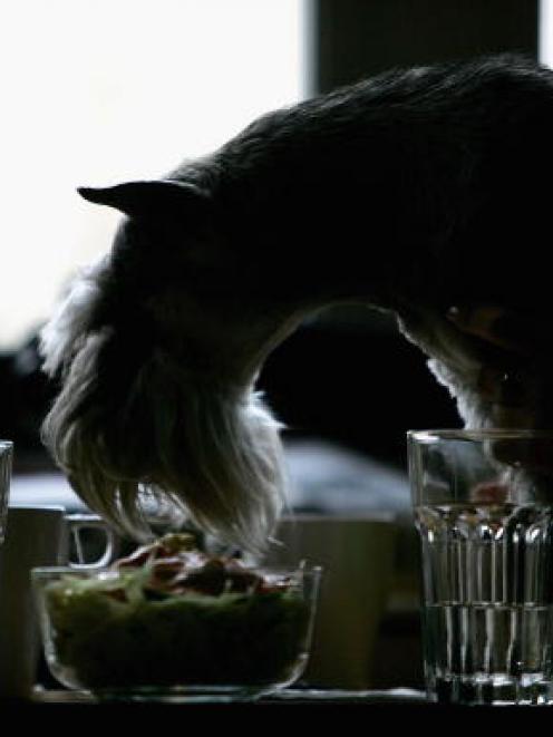 The Food Bill, which is currently before Parliament, would give bar and restaurant owners the...