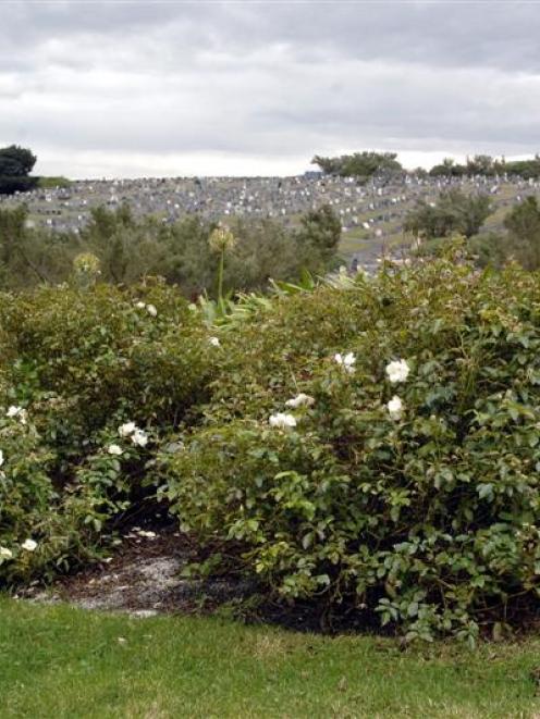 The garden at Dunedin's Andersons Bay cemetery designated for the scattering of ashes. Photo by...