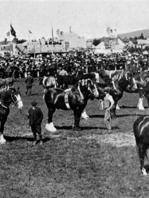 The horse section lined up during the grand parade at the Canterbury A. and P. Society's show. -...