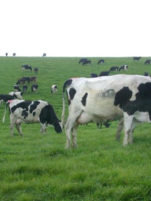 The increased payout forecast for Fonterra suppliers could mean an end to the recent price slump....