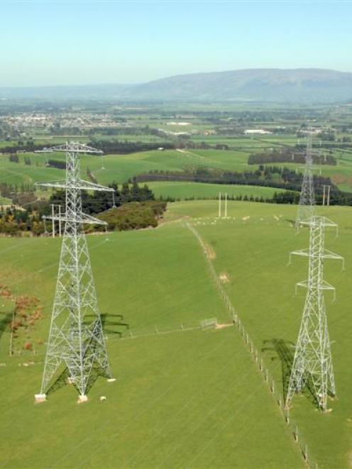 The Labour and Green parties are planning to establish a single purchase for electricity. Photo...