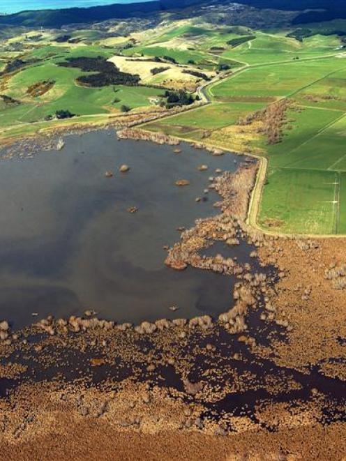 The last lower Clutha major wetland area. Photo by Stephen Jaquiery.