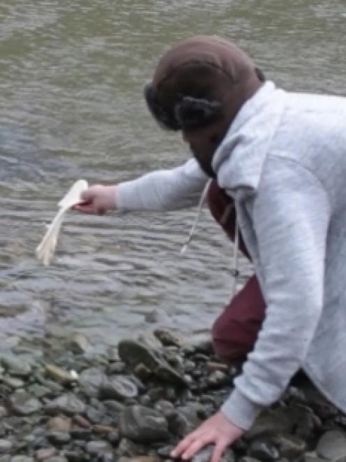 The 'monster eel' comes up for 'pizza bread' in the Manawatu River.
