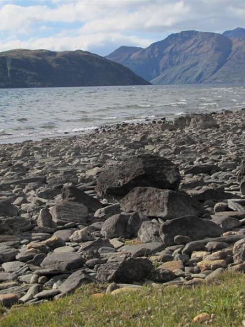 The northwest arm of Roys Peninsula (centre left), a prominent land form in Lake Wanaka, has been...