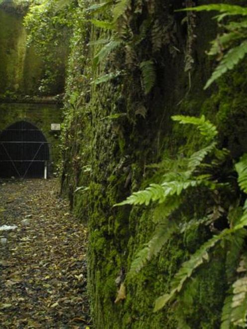 The Old Caversham Rail Tunnel group wants the Dunedin City Council to commit to a thorough...