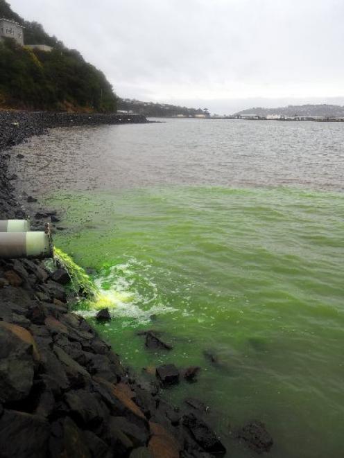 The ORC confirmed harmless tracer dye was used to test for a seepage leak and resulted in green...