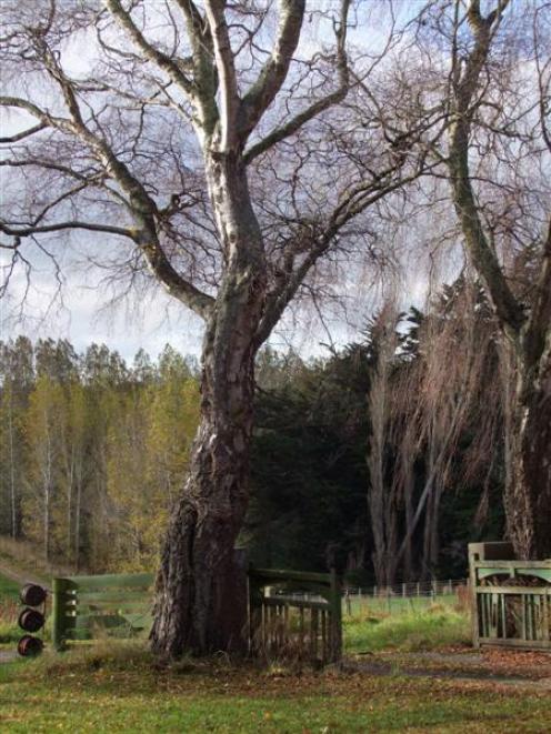 The original gates remain but George Scott plans to replace them. Photo by Gillian Vine.