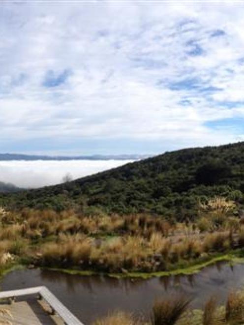 The Orokonui Ecosanctuary. Photo by Craig Baxter.