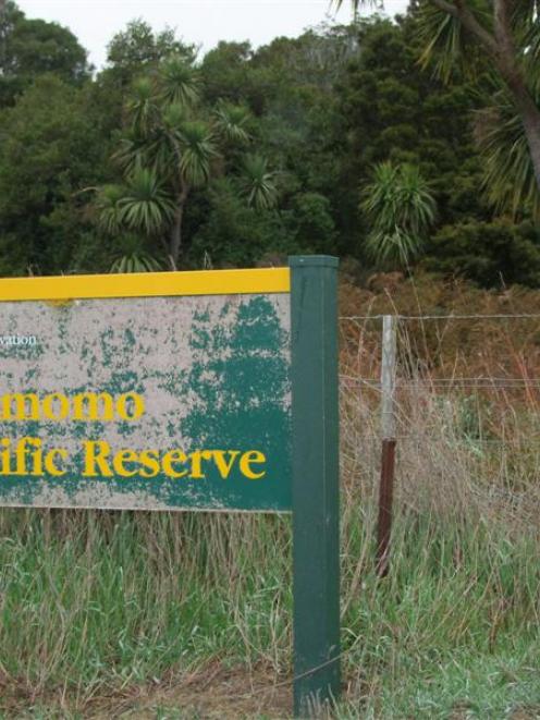 The Otanomomo scientific reserve near Balclutha. Photo by Glenn Conway.