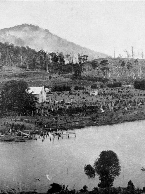The Owaka River below Tahora.— Otago Witness, 5.1.1916.