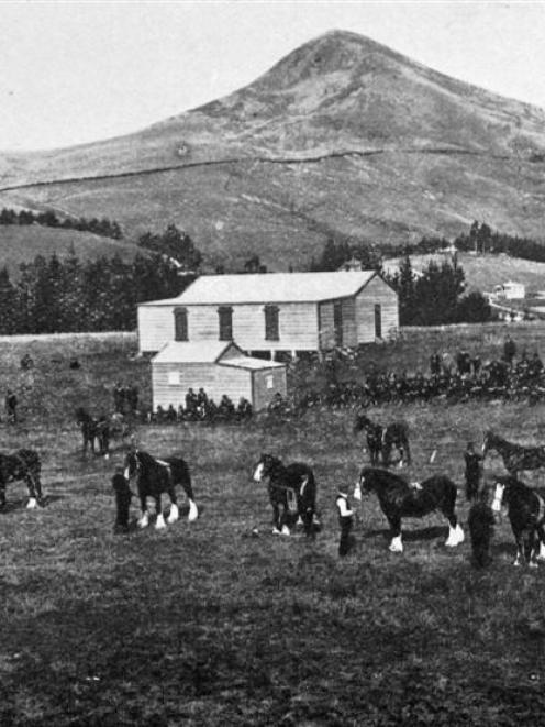 The Palmerston Agricultural and Pastoral Associations horse parade on September 28. - Otago...
