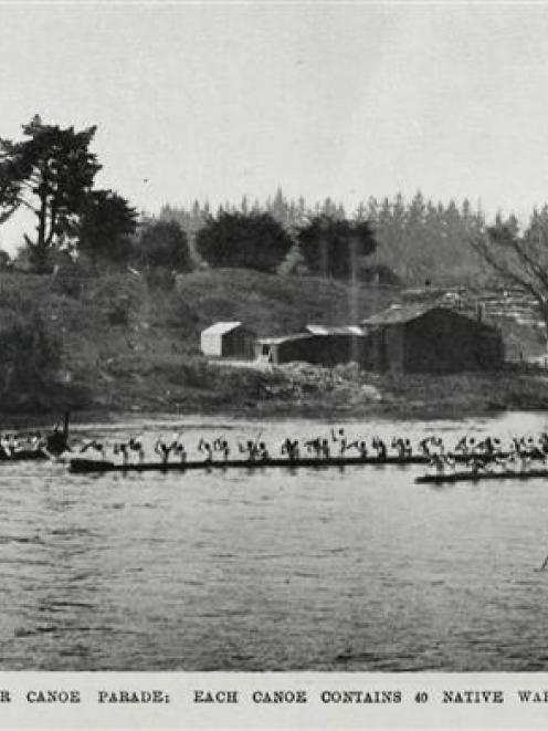 The parade of Maori war canoes, each paddled by 40 warriors, at the Ngaruawahia regatta. - Otago...