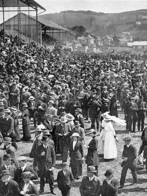 The public on the grandstand and lawn at Forbury Park on the first day of the Forbury Trotting...