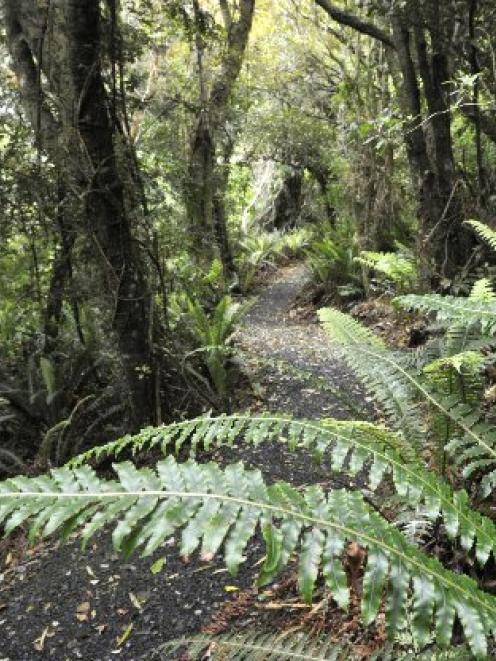 The recently completed Orokonui Ecosanctuary loop track sponsored by the Otago Regional Council....