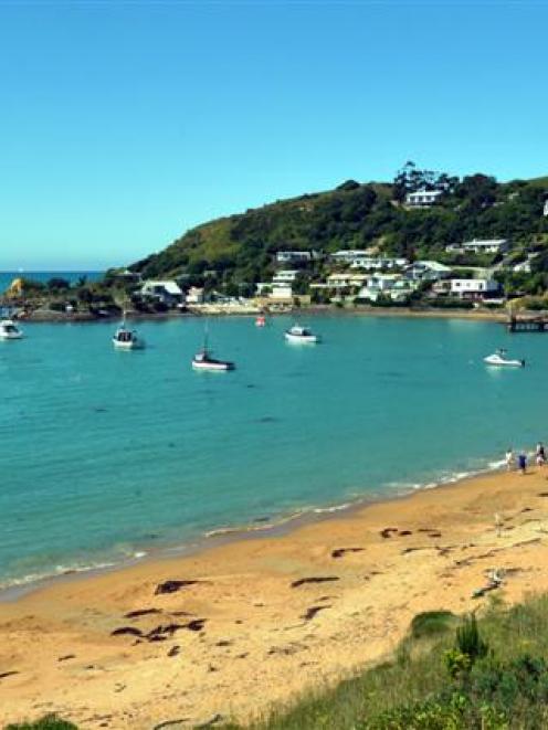 The sewerage scheme at Moeraki constantly breaches treatment and discharge standards. Photo by...
