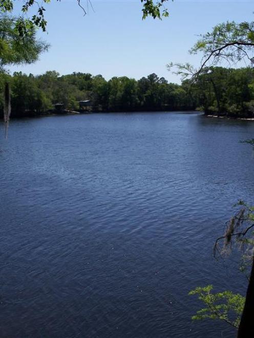 The Suwannee River, which many tourists visit because of its depiction in the Florida state song...