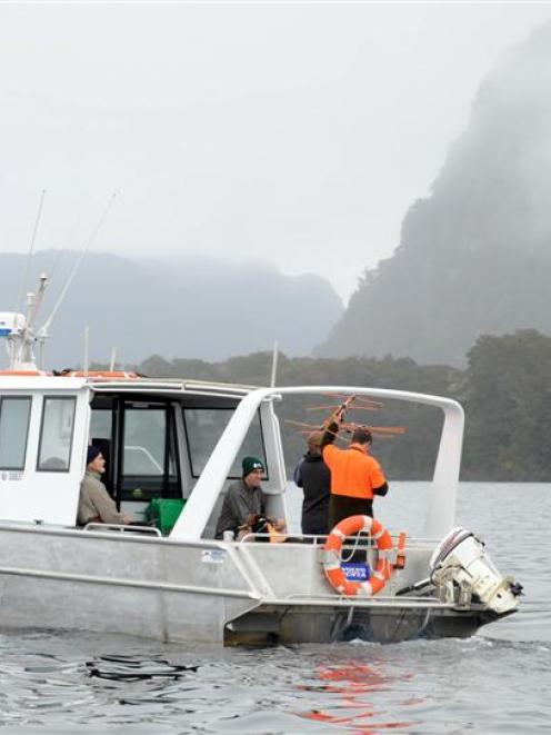 The team attempts to track the kiwi before landing on the island. Photos by Stephen Jaquiery.