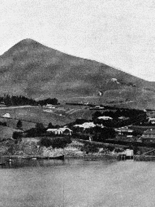 The terminal point in the run for steamers in the Otago Peninsula Ferry Service: a general view...