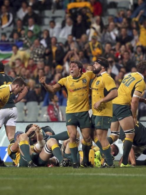 The umpire signals the end of the game and victory for Australia's Wallabies over South Africa's...