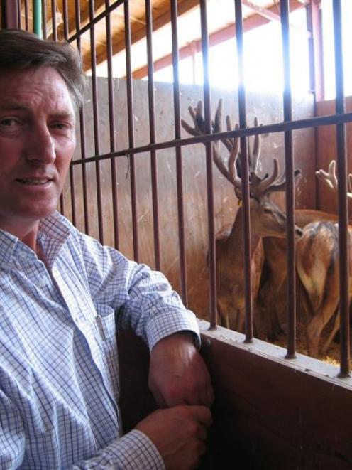 The venison industry fits with the Kiwi image, according to Deer Improvement director Peter...