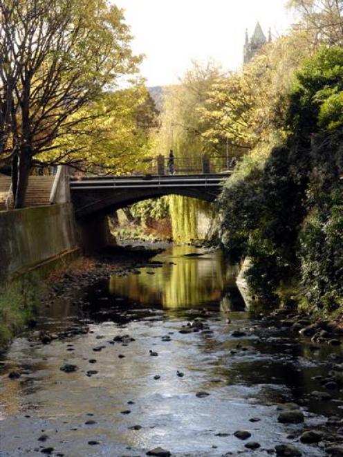 The Water of Leith, looking towards University of Otago clocktower. Photo by Linda Robertson.