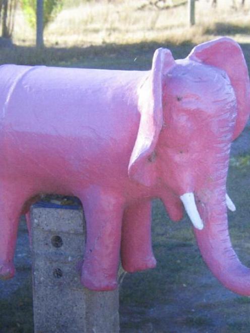 This Chatto Creek letterbox, named Simba the pink elephant, has been stolen. Photo: supplied.