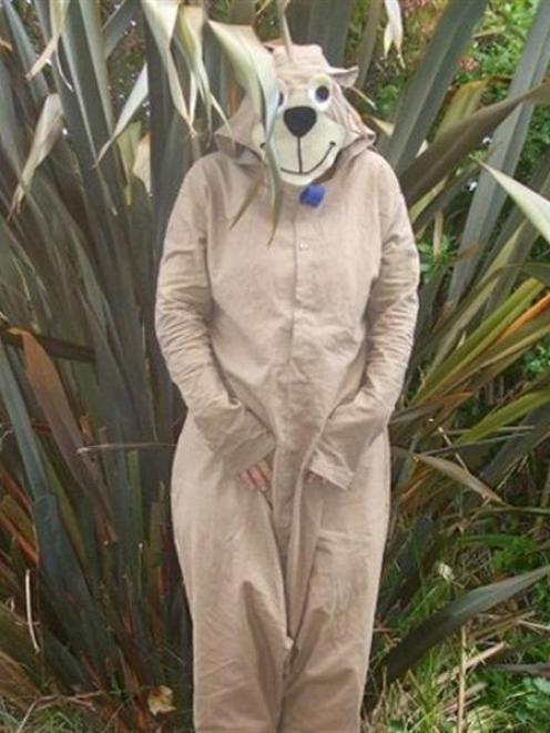 This Yogi Bear suit won the day at the Green Island dump. Photo by Ceri Jenkins.