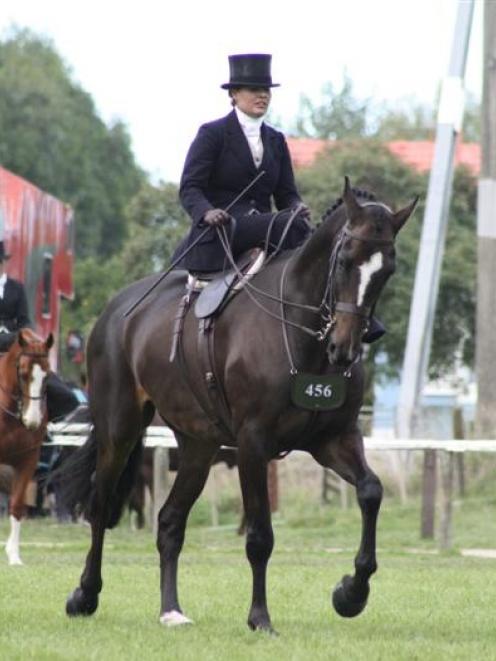 Tiffany Ottley and Three Kings competing at the Horse of the Year show in Hastings.