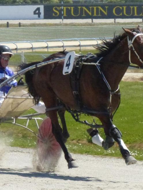 Titan Banner is on the verge of taking his place in the 3yr-old emerald final at the Harness...