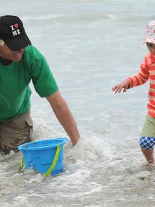 Tony Brosnan (77), of Dunedin, plays with his granddaughter Emily Brosnan (3), of Christchurch,...