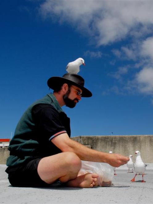 Tony Pemberton (38) shares his sandwiches with the gulls of the Dunedin's central business area....