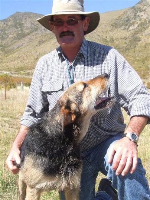 Tony Wall with Dame at the Omarama dog trials yesterday.