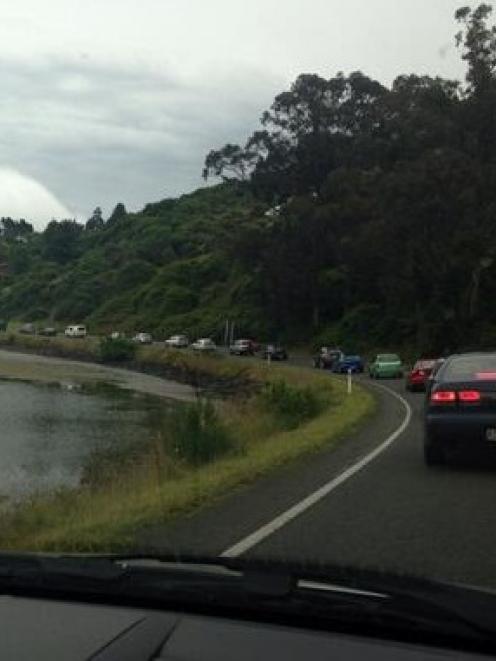 Traffic at a crawl on SH88. Photo by Chris Morris