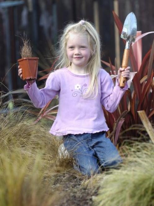 Skyla Diehl (4) of the Mornington Playcentre prepares to plant one of  60 shrubs. Photo by Peter...