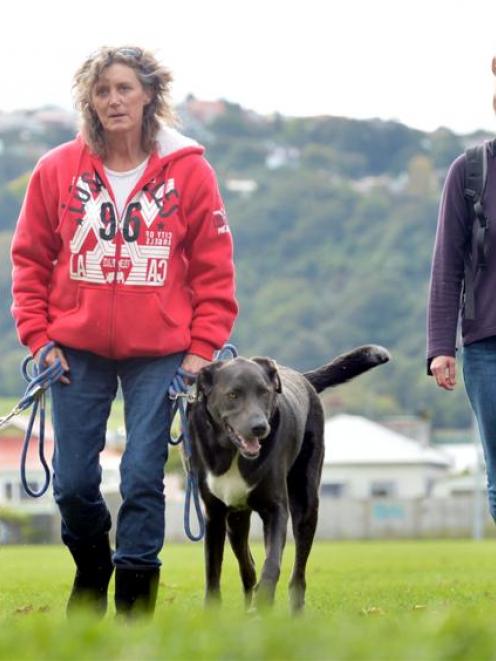 Trina Lyon walks J-dog (left) and Bruno at Tonga Park in Dunedin yesterday  while being filmed by...