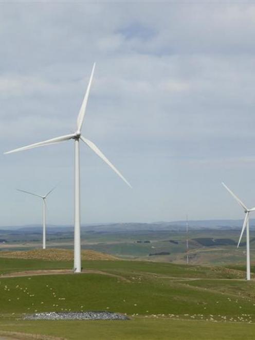 Trustpower wants to build on its wind farm success as seen at the Mahinerangi wind farm. Photo by...