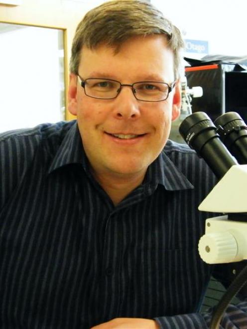 University of Otago biochemistry associate professor Peter Dearden examines bees at his...