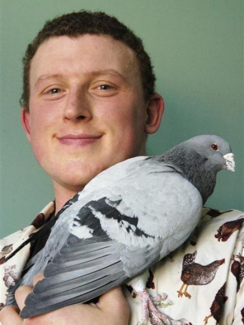 University of Otago doctoral student Damian Scarf takes a closer look at a carrier pigeon...