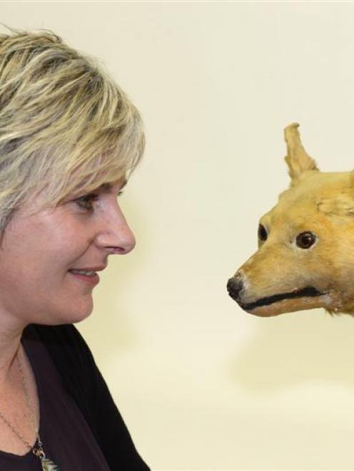 University of Otago PhD student Karen Greig and an extinct kuri, a Polynesian dog, at the Otago...