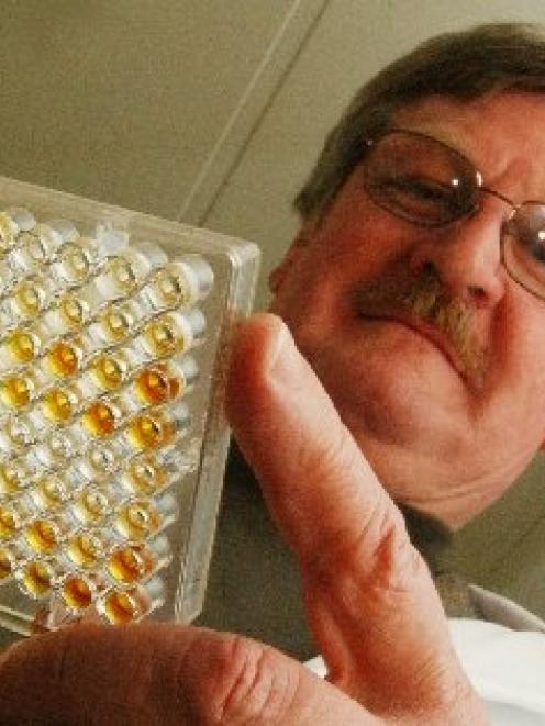 University of Otago researcher Prof Frank Griffin scans the results of a paralisa test which...