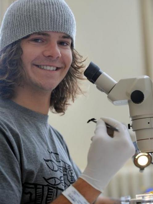 University of Otago zoology student Gene van der Zanden counts bugs captured from one of the 54...