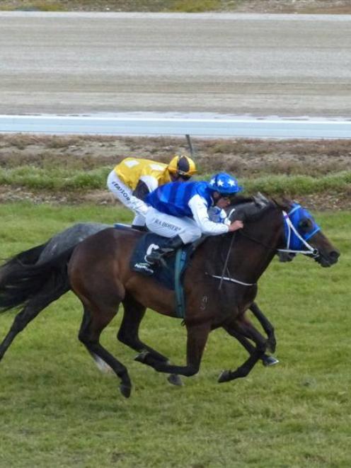 Ustibecasual (Ross Doherty) brings up Alex Freeman's first training win at Omakau earlier this...