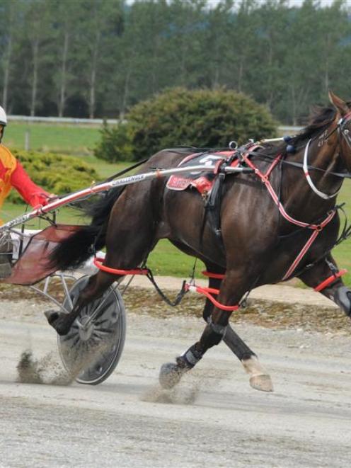 Vi Et Animo,  who recorded his 14th win yesterday at Invercargill when he overcame a 40m handicap...
