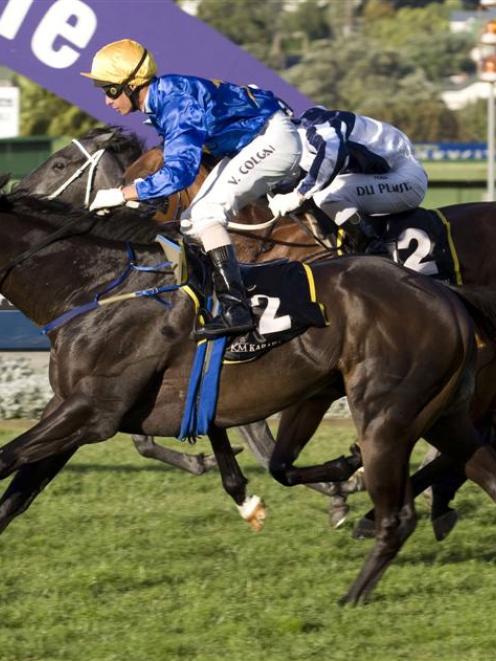 Vincent Mangano, who is a leading prospect for the Pegasus Stakes at Riccarton tomorrow. Photo by...