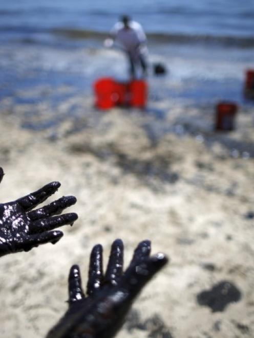 Volunteers work to clean up oil from the spill. Photo Reuters