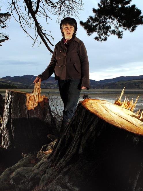 Waikouaiti Coast Community Board member Geraldine Tait checks two tree stumps left after old pine...