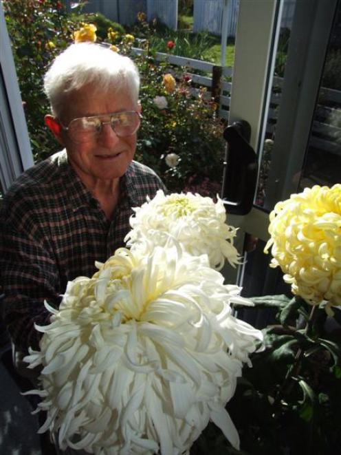 Waimate chrysanthemum grower Allen Smith with some of his blooms. Photo by Sally Rae.