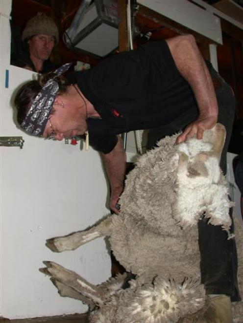 Waka Kennedy shears his way to the final of the senior machine shearing at the Waitaki Mackenzie...